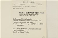 登錄號:A00006171藏品圖，第2張