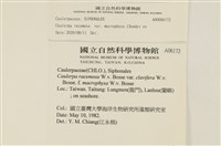 館號:A00006172藏品圖，第2張