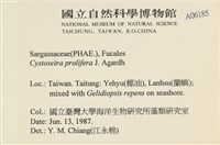 登錄號:A00006185藏品圖，第2張