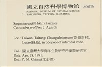 登錄號:A00006186藏品圖，第2張