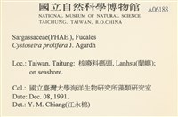 登錄號:A00006188藏品圖，第2張