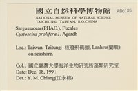 登錄號:A00006189藏品圖，第2張