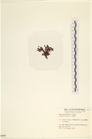 登錄號:A00006189藏品圖，第3張