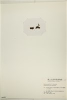 登錄號:A00006192藏品圖，第3張