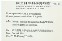 登錄號:A00006198藏品圖，第2張