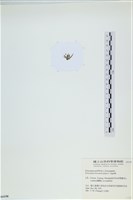 登錄號:A00006198藏品圖，第3張