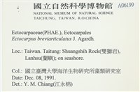 登錄號:A00006199藏品圖，第2張