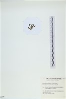 登錄號:A00006199藏品圖，第3張