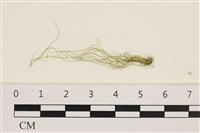 登錄號:A00006200藏品圖，第1張