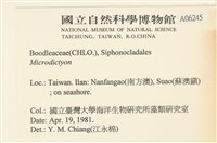 登錄號:A00006245藏品圖，第2張