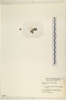 登錄號:A00006245藏品圖，第3張