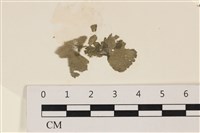 登錄號:A00006245藏品圖，第1張