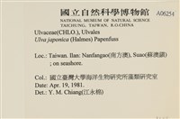 登錄號:A00006254藏品圖，第2張