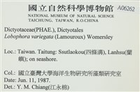 登錄號:A00006262藏品圖，第2張