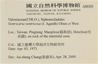 登錄號:A00006305藏品圖，第2張