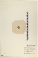 登錄號:A00006305藏品圖，第3張