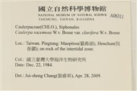 登錄號:A00006311藏品圖，第2張