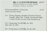 南方團扇藻藏品圖，第2張