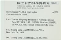 南方團扇藻藏品圖，第2張