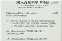 南方團扇藻藏品圖，第2張