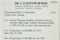 小團扇藻藏品圖，第2張