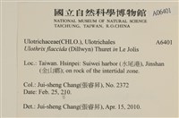 登錄號:A00006401藏品圖，第2張