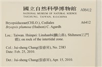 登錄號:A00006412藏品圖，第2張