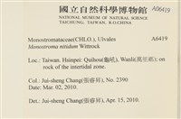 登錄號:A00006419藏品圖，第2張