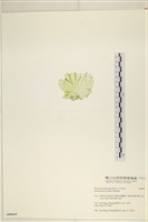 登錄號:A00006419藏品圖，第3張