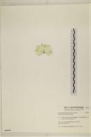 登錄號:A00006420藏品圖，第3張