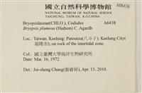 登錄號:A00006438藏品圖，第2張