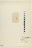 登錄號:A00006438藏品圖，第3張
