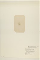 登錄號:A00006439藏品圖，第3張