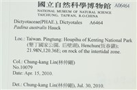 南方團扇藻藏品圖，第2張