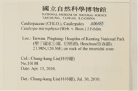 登錄號:A00006485藏品圖，第2張