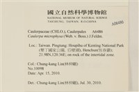 登錄號:A00006486藏品圖，第2張