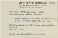 網目藻藏品圖，第2張