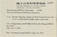 網目藻藏品圖，第2張