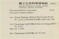 登錄號:A00006512藏品圖，第2張