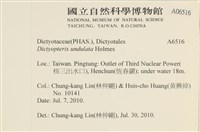登錄號:A00006516藏品圖，第2張
