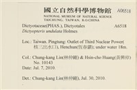 登錄號:A00006518藏品圖，第2張