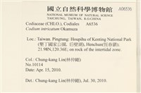 登錄號:A00006536藏品圖，第2張