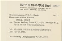 登錄號:A00006537藏品圖，第2張