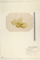 登錄號:A00006539藏品圖，第3張