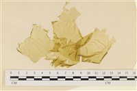 登錄號:A00006539藏品圖，第1張
