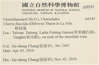 登錄號:A00006545藏品圖，第2張