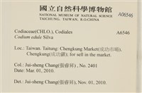 登錄號:A00006546藏品圖，第2張