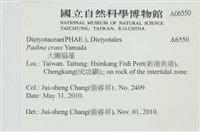 登錄號:A00006550藏品圖，第2張