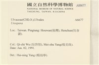 登錄號:A00006677藏品圖，第2張