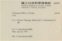 登錄號:A00006678藏品圖，第2張